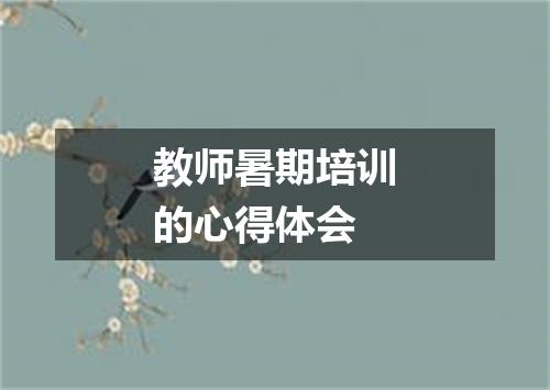 教师暑期培训的心得体会