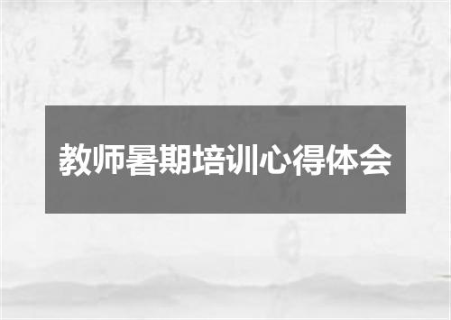 教师暑期培训心得体会