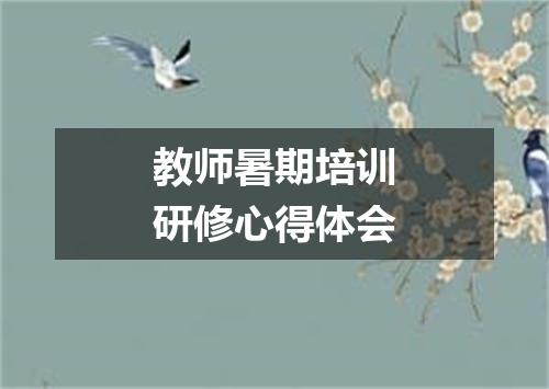 教师暑期培训研修心得体会