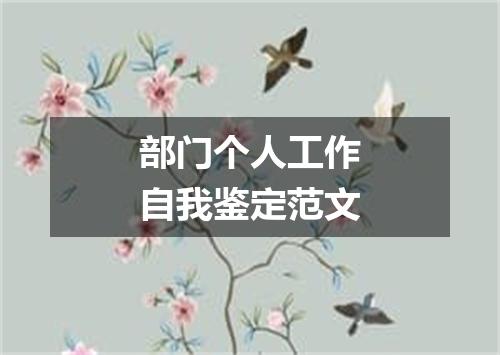 部门个人工作自我鉴定范文