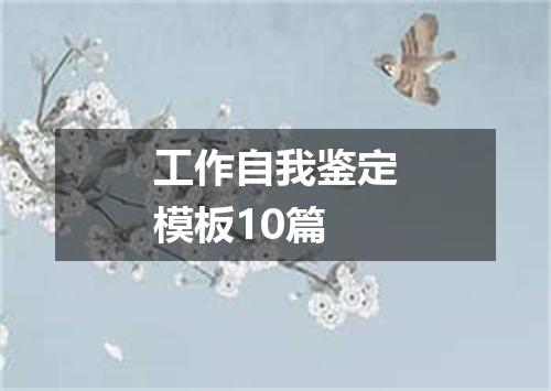 工作自我鉴定模板10篇