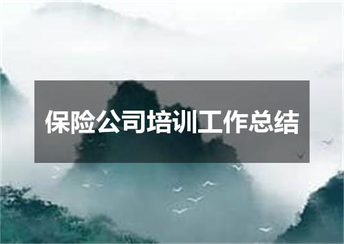 保险公司培训工作总结