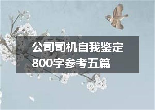 公司司机自我鉴定800字参考五篇
