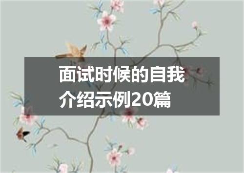 面试时候的自我介绍示例20篇