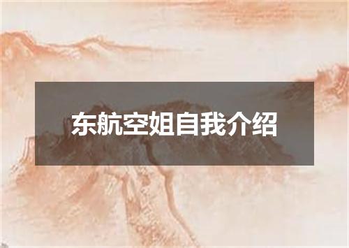 东航空姐自我介绍