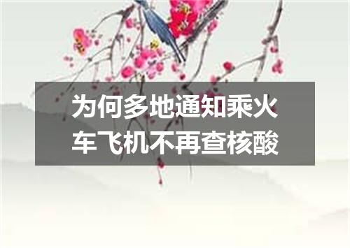 为何多地通知乘火车飞机不再查核酸