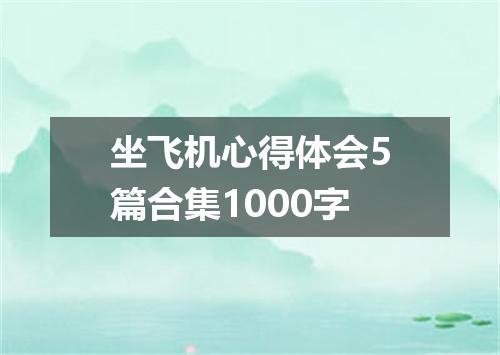坐飞机心得体会5篇合集1000字
