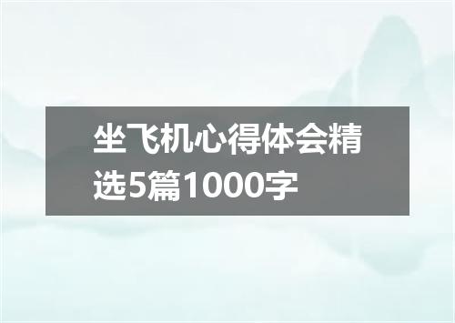 坐飞机心得体会精选5篇1000字