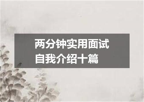 两分钟实用面试自我介绍十篇