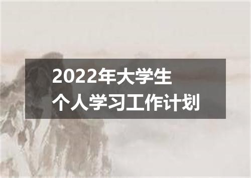 2022年大学生个人学习工作计划