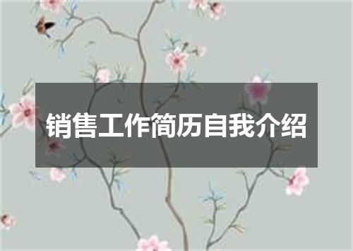 销售工作简历自我介绍