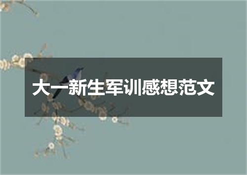 大一新生军训感想范文