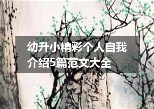 幼升小精彩个人自我介绍5篇范文大全