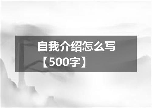 自我介绍怎么写【500字】