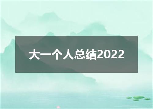 大一个人总结2022