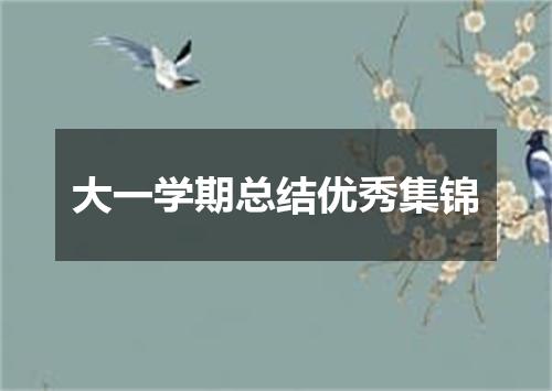 大一学期总结优秀集锦
