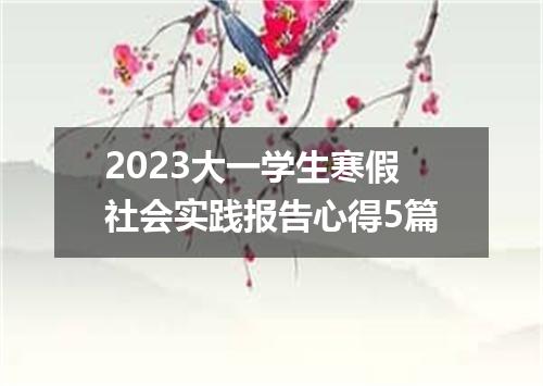 2023大一学生寒假社会实践报告心得5篇