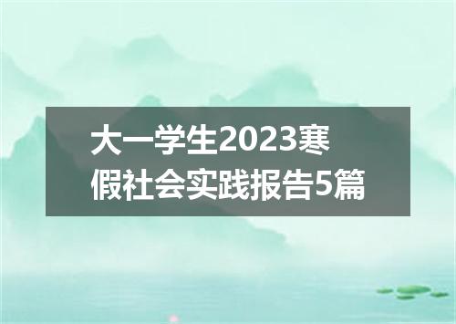 大一学生2023寒假社会实践报告5篇