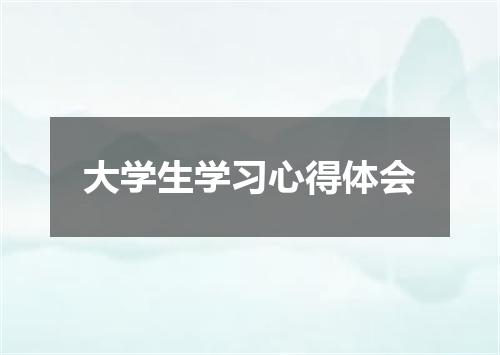 大学生学习心得体会