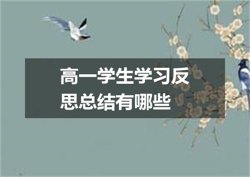 高一学生学习反思总结有哪些