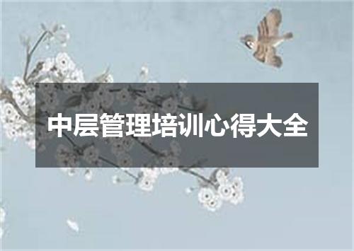 中层管理培训心得大全