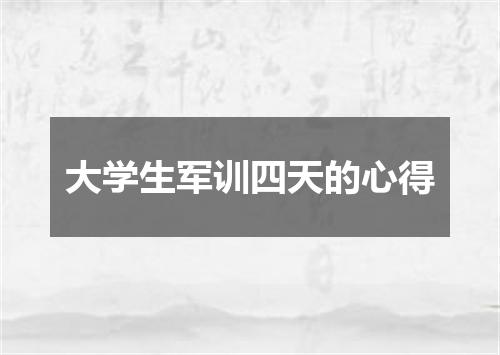 大学生军训四天的心得