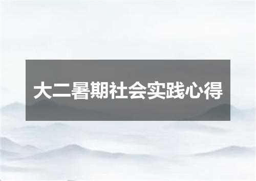 大二暑期社会实践心得
