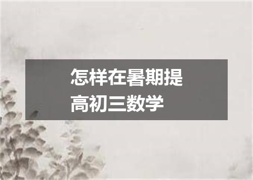 怎样在暑期提高初三数学