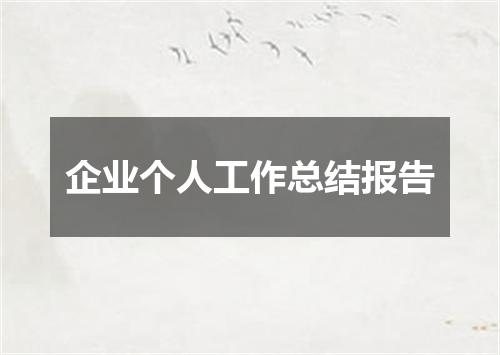 企业个人工作总结报告