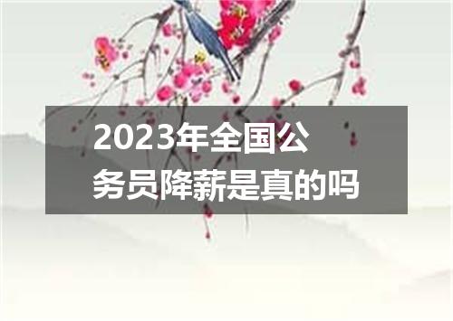 2023年全国公务员降薪是真的吗