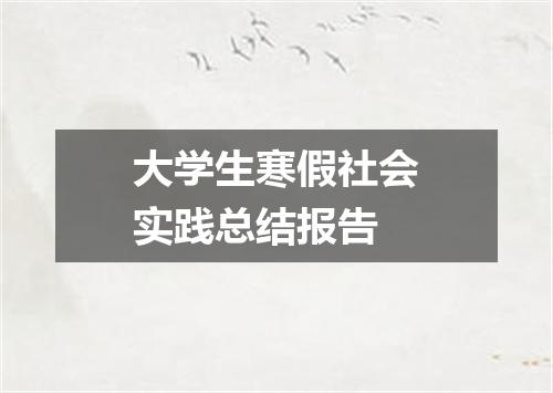 大学生寒假社会实践总结报告