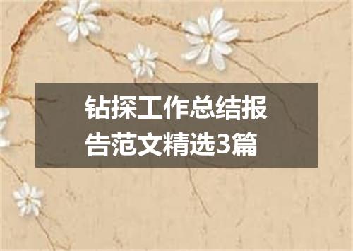 钻探工作总结报告范文精选3篇