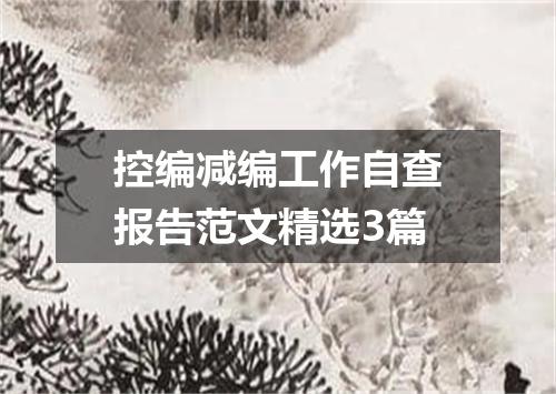控编减编工作自查报告范文精选3篇