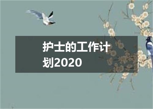 护士的工作计划2020