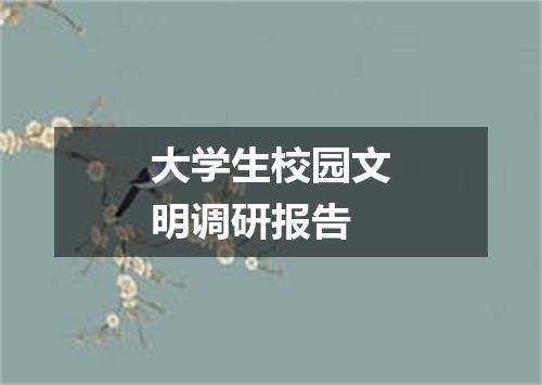 大学生校园文明调研报告