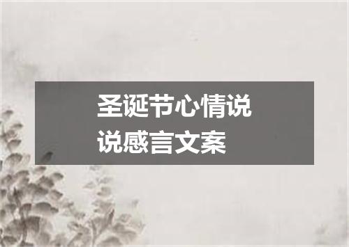 圣诞节心情说说感言文案