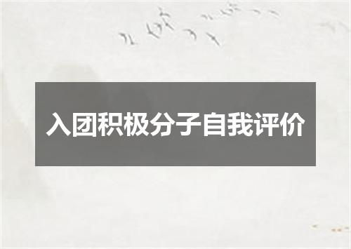 入团积极分子自我评价