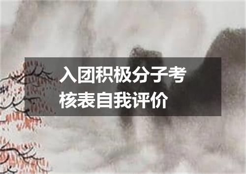 入团积极分子考核表自我评价