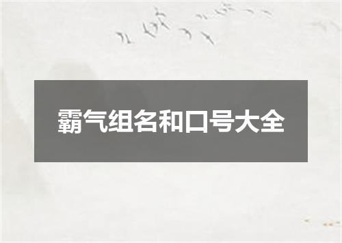 霸气组名和口号大全