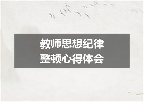 教师思想纪律整顿心得体会