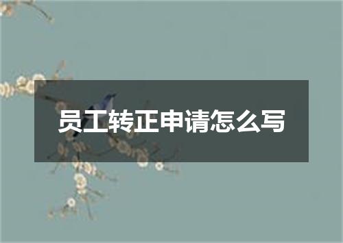 员工转正申请怎么写