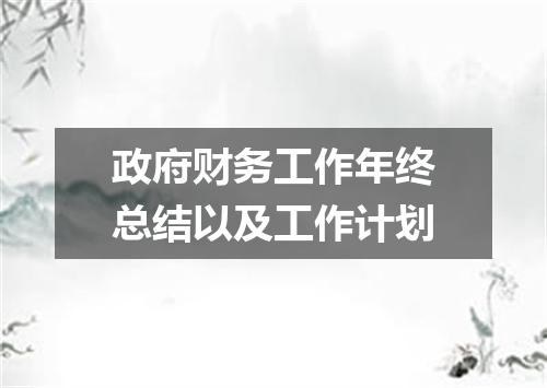 政府财务工作年终总结以及工作计划