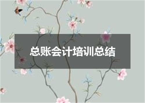 总账会计培训总结