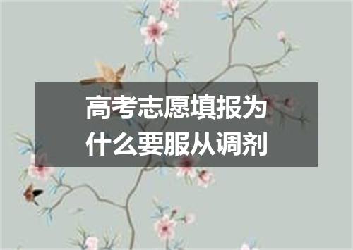 高考志愿填报为什么要服从调剂