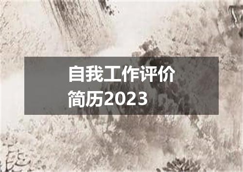 自我工作评价简历2023