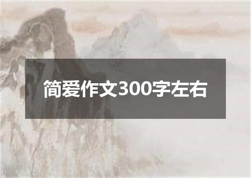 简爱作文300字左右