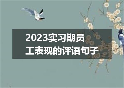 2023实习期员工表现的评语句子