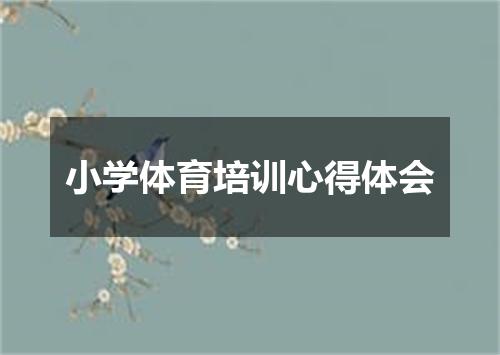 小学体育培训心得体会