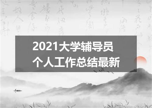 2021大学辅导员个人工作总结最新