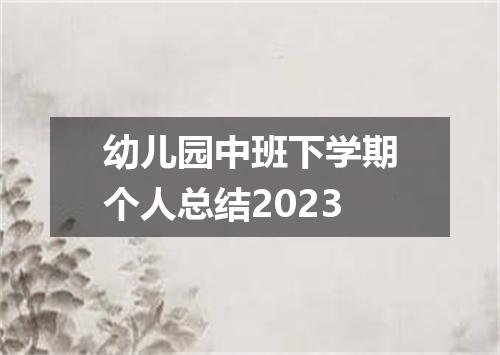 幼儿园中班下学期个人总结2023